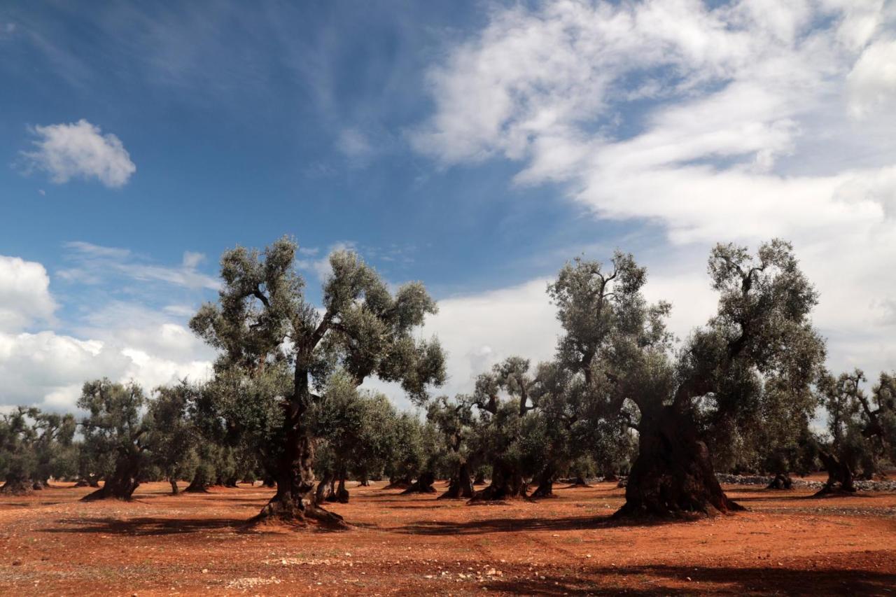 Masseria Conca D'Oro Ostuni Eksteriør bilde