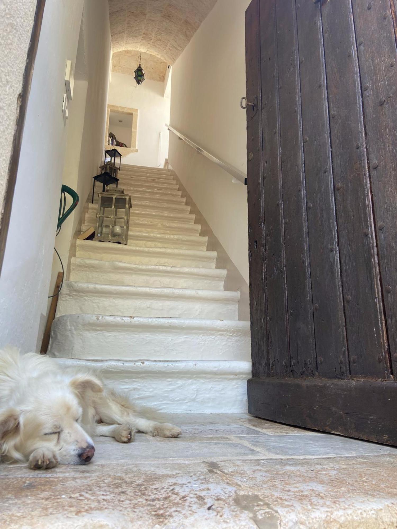 Masseria Conca D'Oro Ostuni Eksteriør bilde